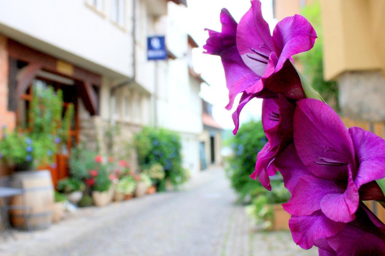 D & S Hotel & Ferienwohnungen Besigheim Esterno foto